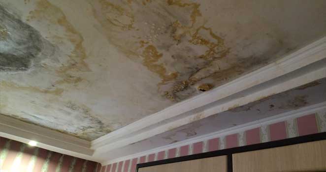 Water and Hidden Leak Claims services (Rkm Claims)