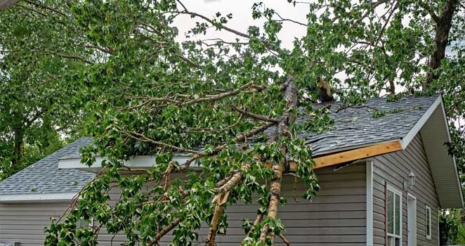 Wind and Roof Damage Claims services (Rkm Claims)