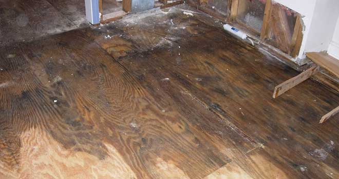 Water and Plumbing Damage Claims (Rkm Claims) Water and Plumbing Damage Claims (Rkm Claims)