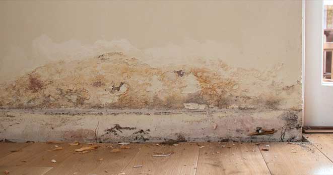 Water Damage Claims