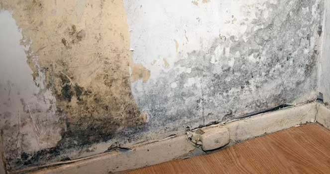 Water Damage Claims Services (Rkm Claims)